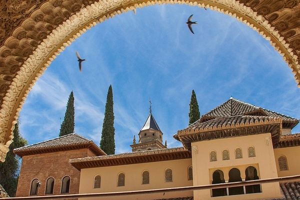 Alhambra Entry Ticket with the Bath of the Mosque, Nasrid Optional