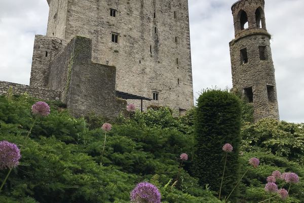 Cork