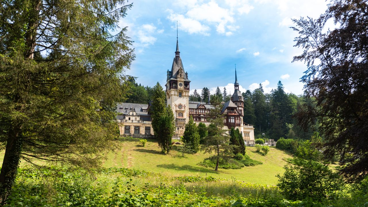 Peles Castle at Sinaia seen across a green lawn and framed by tall conifers, its spires and timbered gables against the sky.