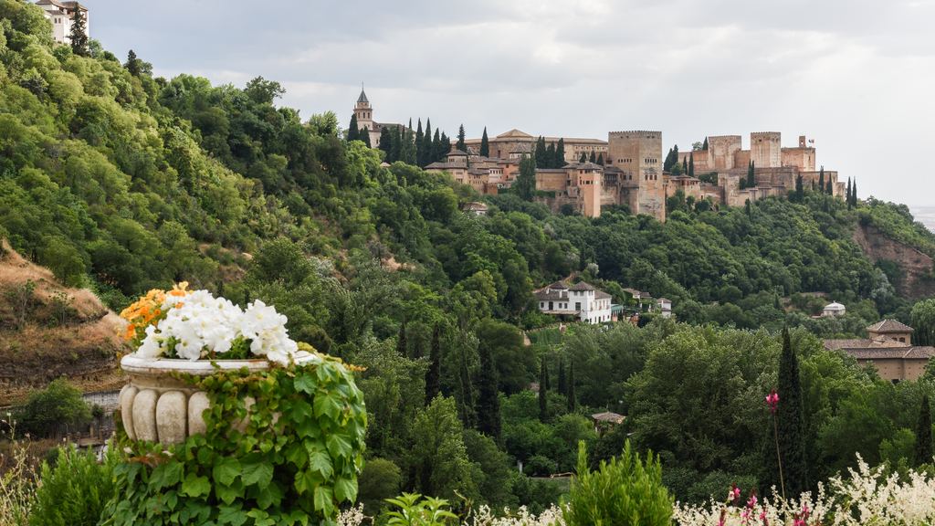 The walls and towers of the Alhambra on their wooded ridge, seen from the Sacromonte quarter of Granada.