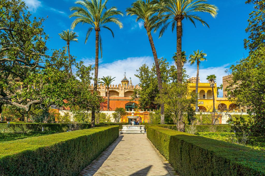 Clipped hedges and tall palms along a path through the gardens of the Royal Alcazar of Seville.