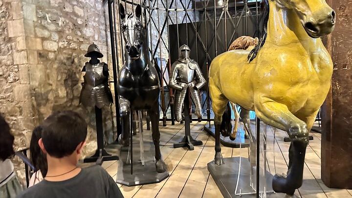 Tower of London Private Family Tour with the Royal Beasts