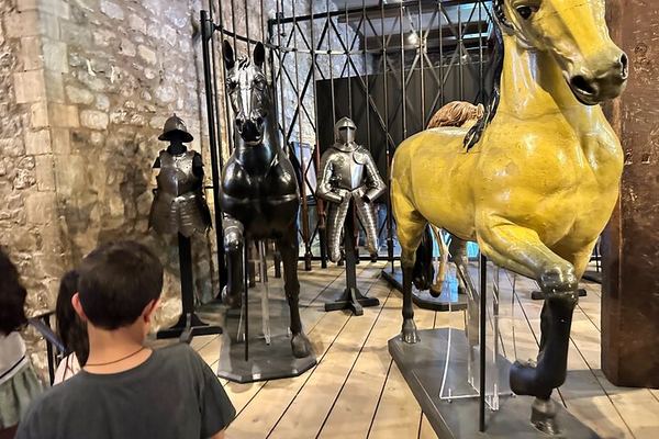 Tower of London Private Family Tour with the Royal Beasts