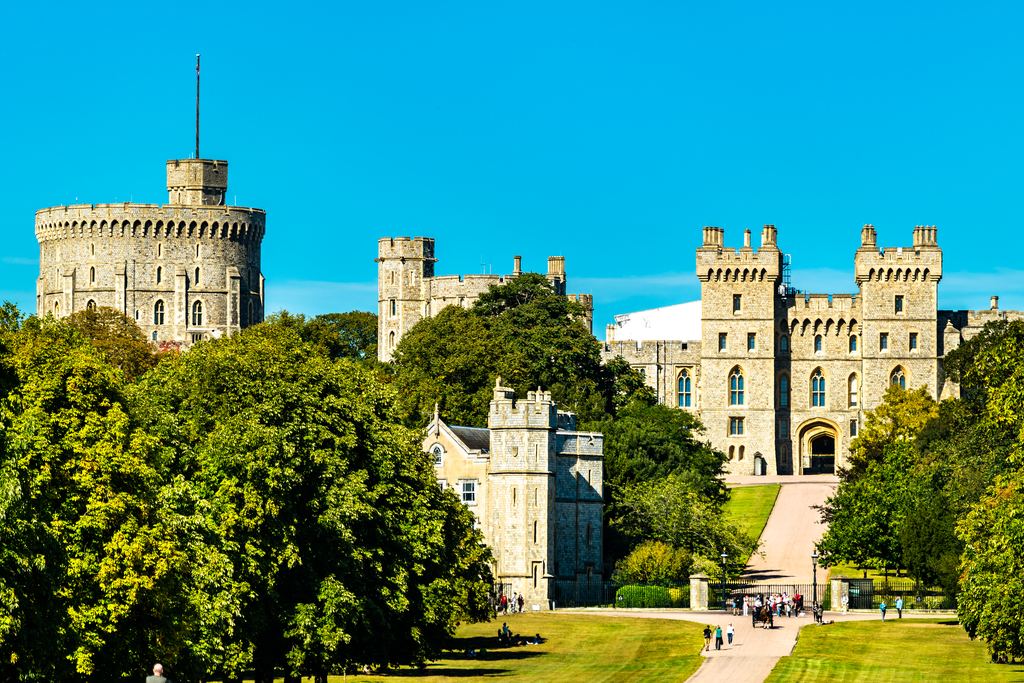 Windsor Castle rising above the trees at the end of the Long Walk, with visitors on the avenue below.